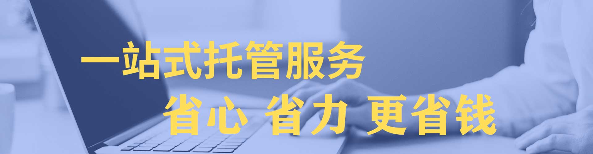 丰林百度优化推广